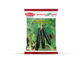Sardar Grow Seeds Brinjal Mahalaxmi SGS-219XL – Long Shiny Black Fruits, High Yield Variety