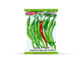 Sardar Grow Seeds Chilli Pusa Jwala Selection - High Yield Hybrid Green Chilli Seeds