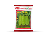 Sardar Grow Seeds Cucumber Punheri Pankaj – High Yield Light Green Cucumber Seeds