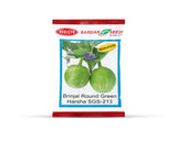 Sardar Grow Seeds Brinjal Round Green Harsha SGS-213 – Uniform Green Round Fruits, High Yield Variety
