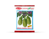 Sardar Grow Seeds Brinjal Mangal SGS-215 – High Yield Green Brinjal Seeds