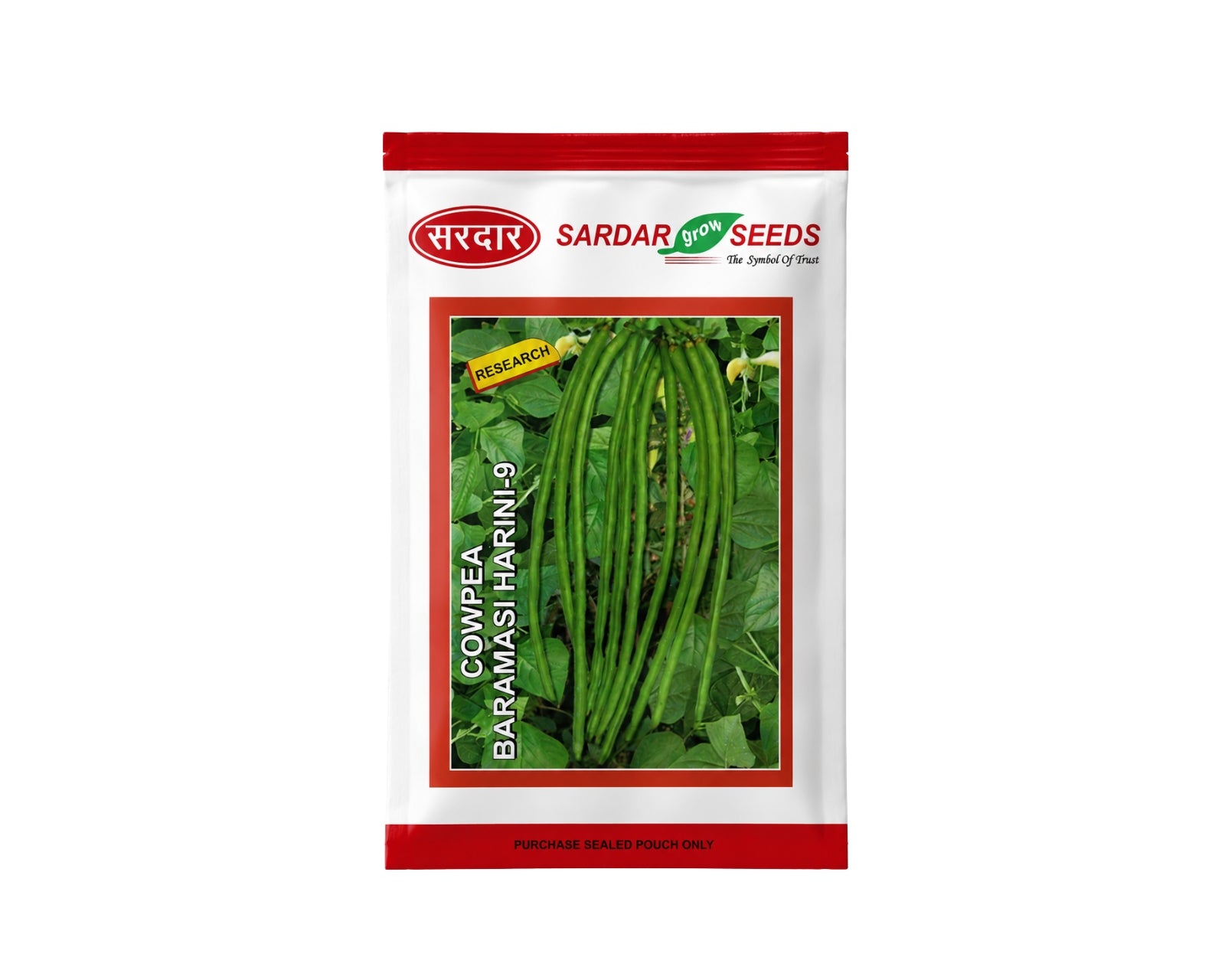 Sardar Grow Seeds Cowpea Baramasi Harini-9 Seeds