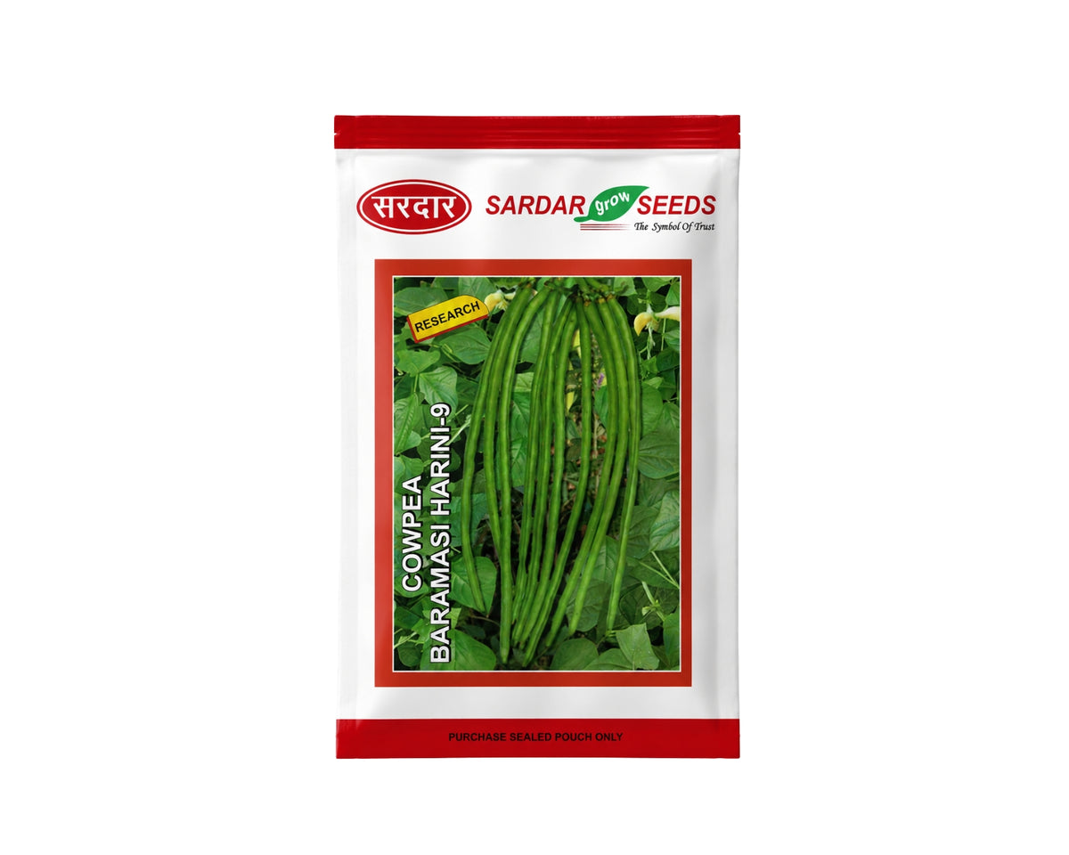 Sardar Grow Seeds Cowpea Baramasi Harini-9 Seeds