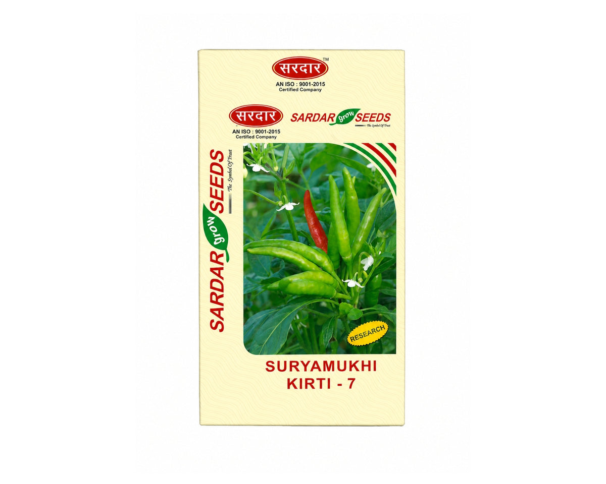 Sardar Grow Seeds Suryamukhi Kirti-7 Chilli Seeds