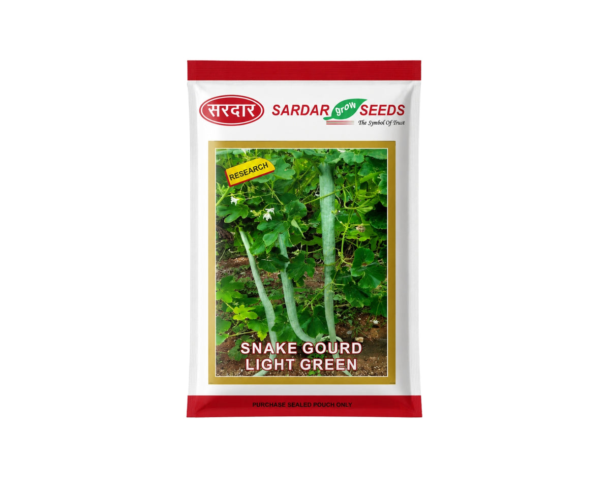 Sardar Grow Seeds Snake Gourd Light Green Seeds