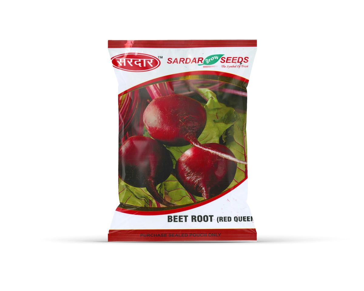Sardar Grow Seeds Beetroot Red Queen – High Yield Deep Red Beet Seeds