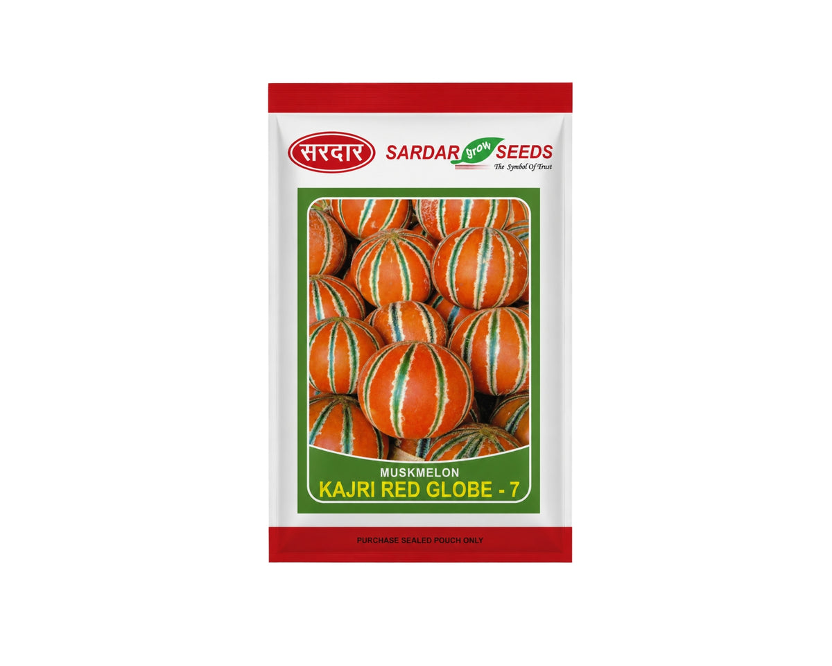 Sardar Grow Seeds Muskmelon Kajri Red Globe-7 Seeds