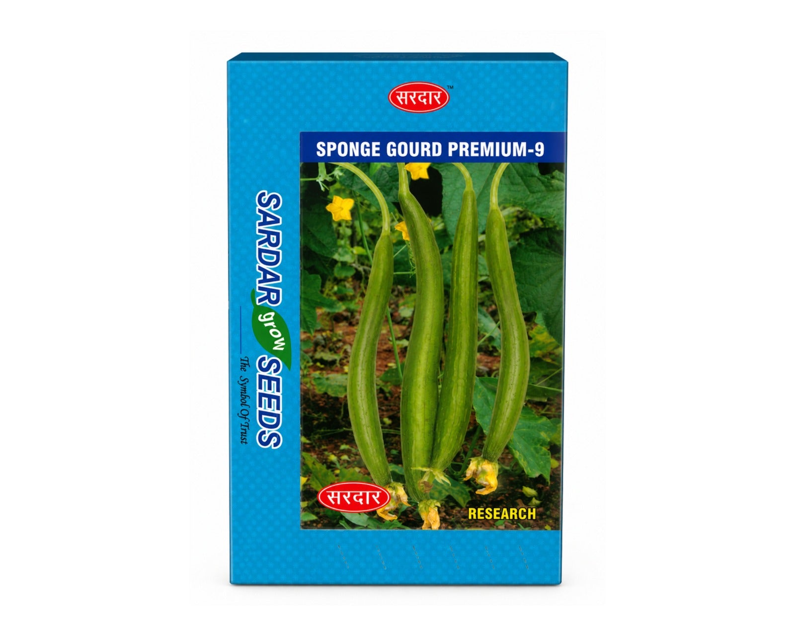 Sardar Grow Seeds Sponge Gourd Premium-9