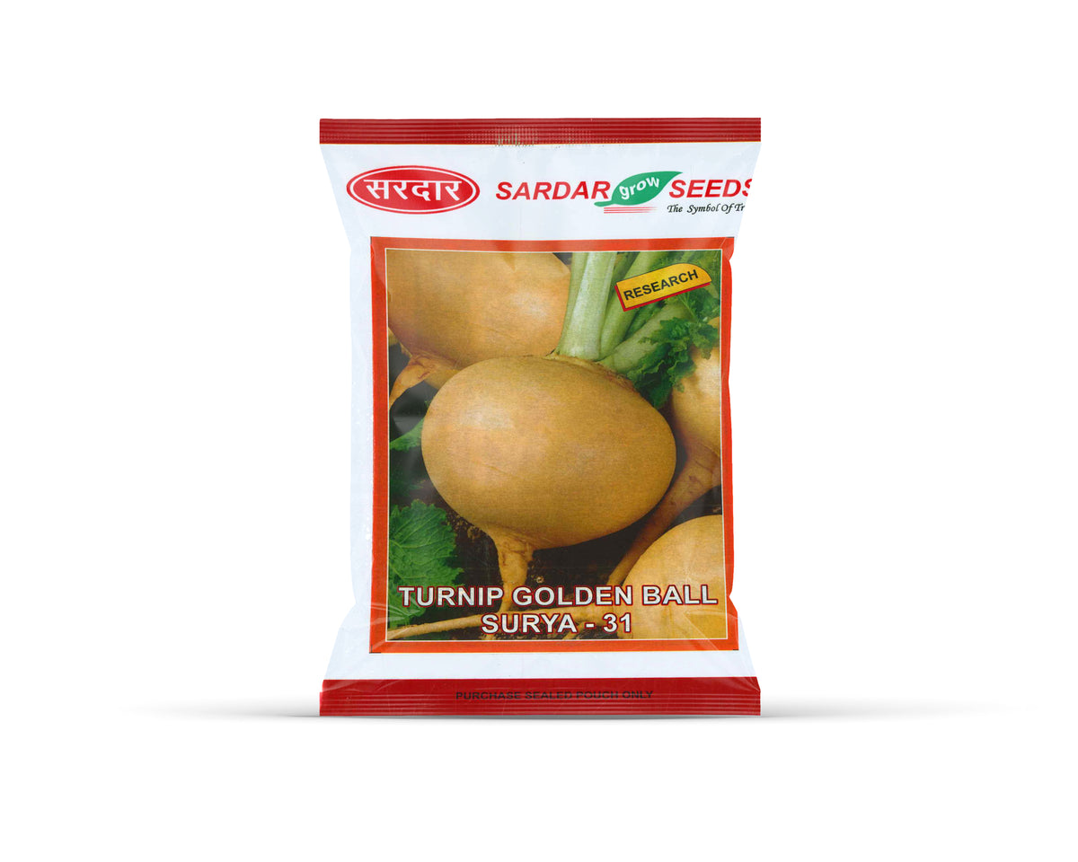 Sardar Grow Seeds Turnip Golden Ball Surya-31 – High Yield Golden Turnip Seeds