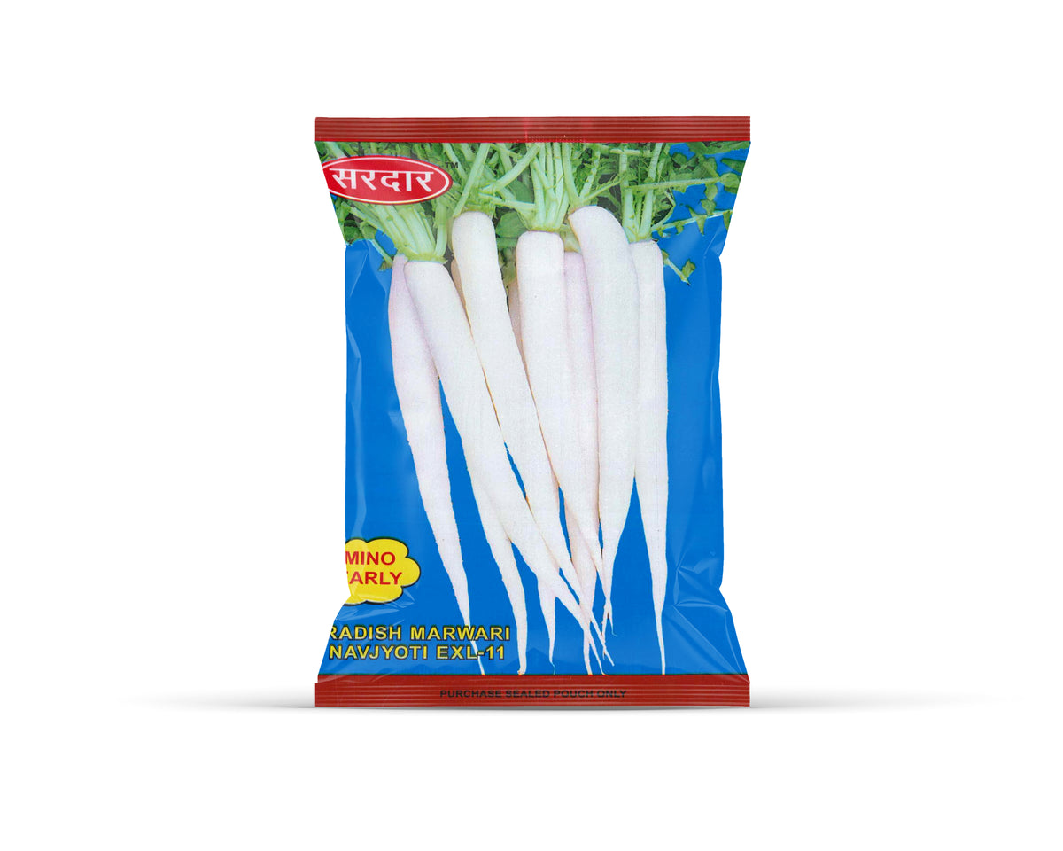 Sardar Grow Seeds Radish Marwari Navjyoti EXL-11 (Mino Early) – Extra Long White Radish Seeds