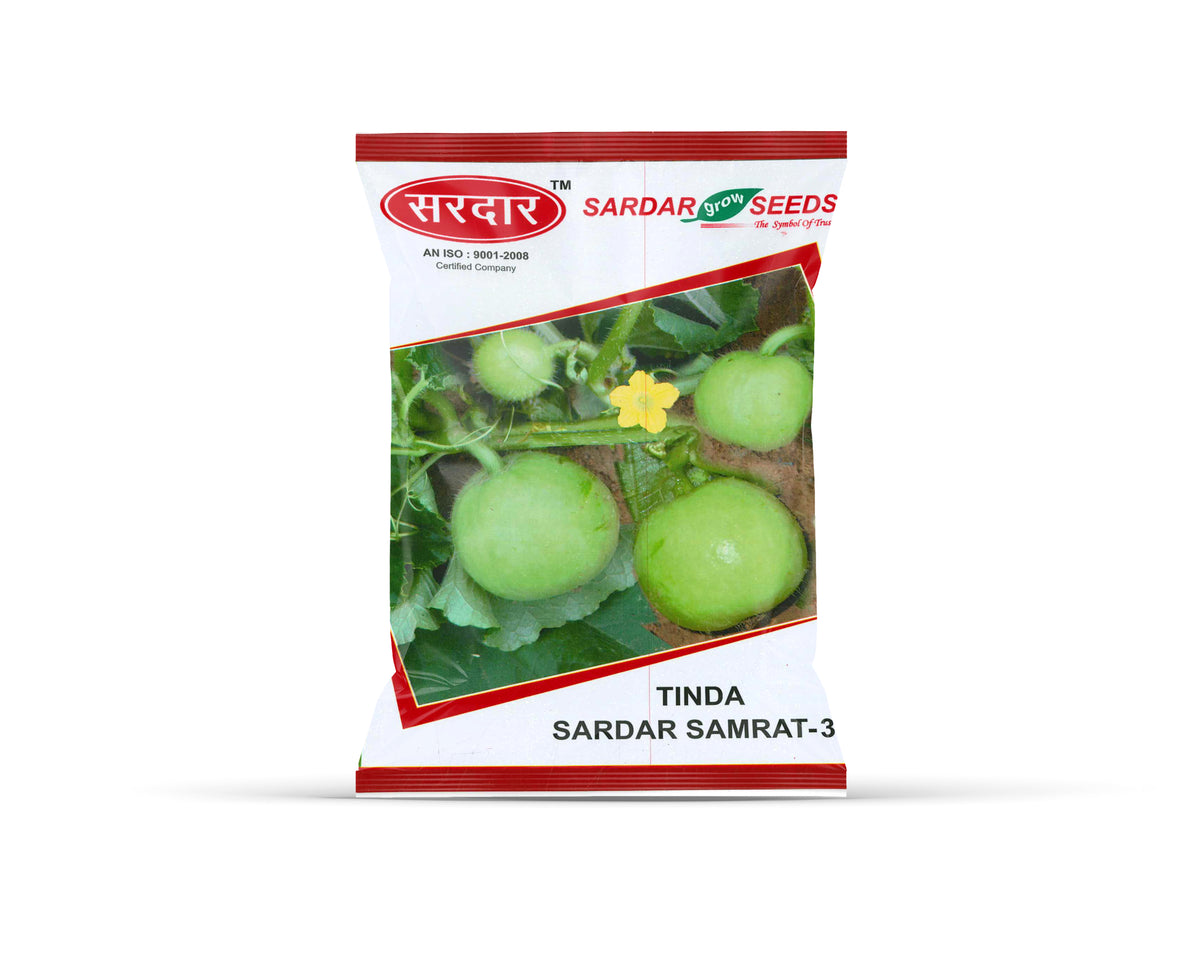 Sardar Grow Seeds Tinda Sardar Samrat-3 – High Yield Round Apple Gourd Seeds