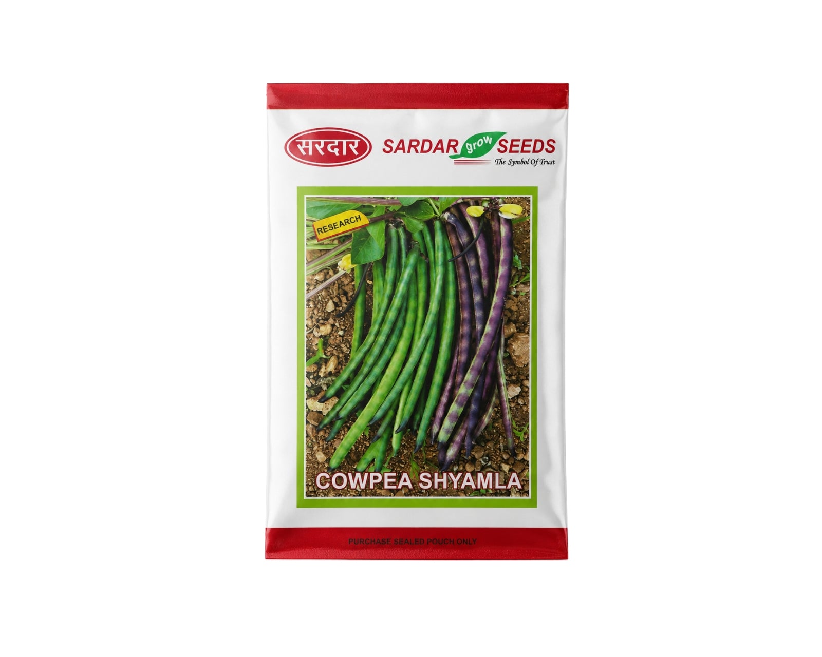 Sardar Grow Seeds Cowpea Shyamla Seeds