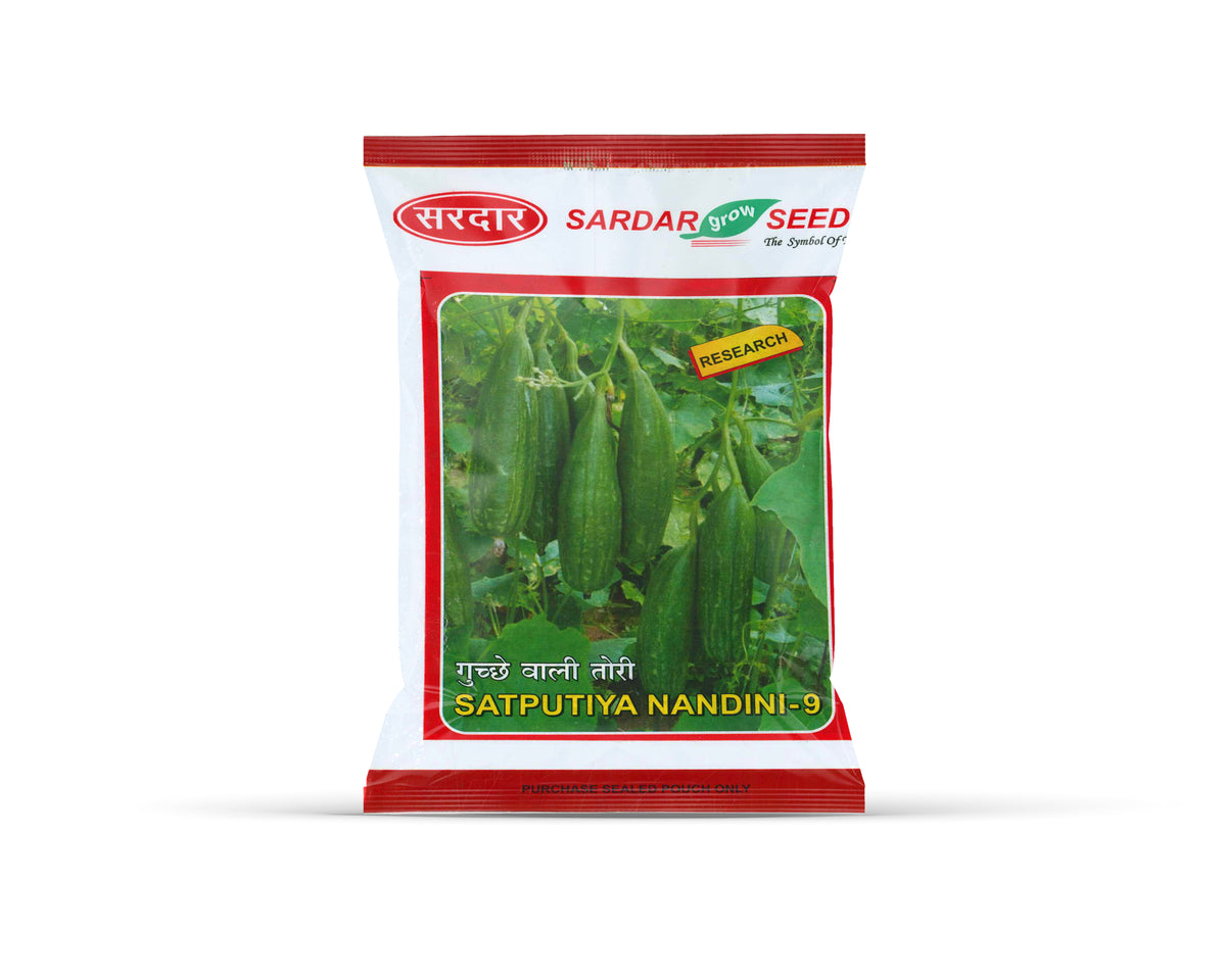 Sardar Grow Seeds Ridge Gourd Satputiya Nandini-9 – High Yield Turai Seeds