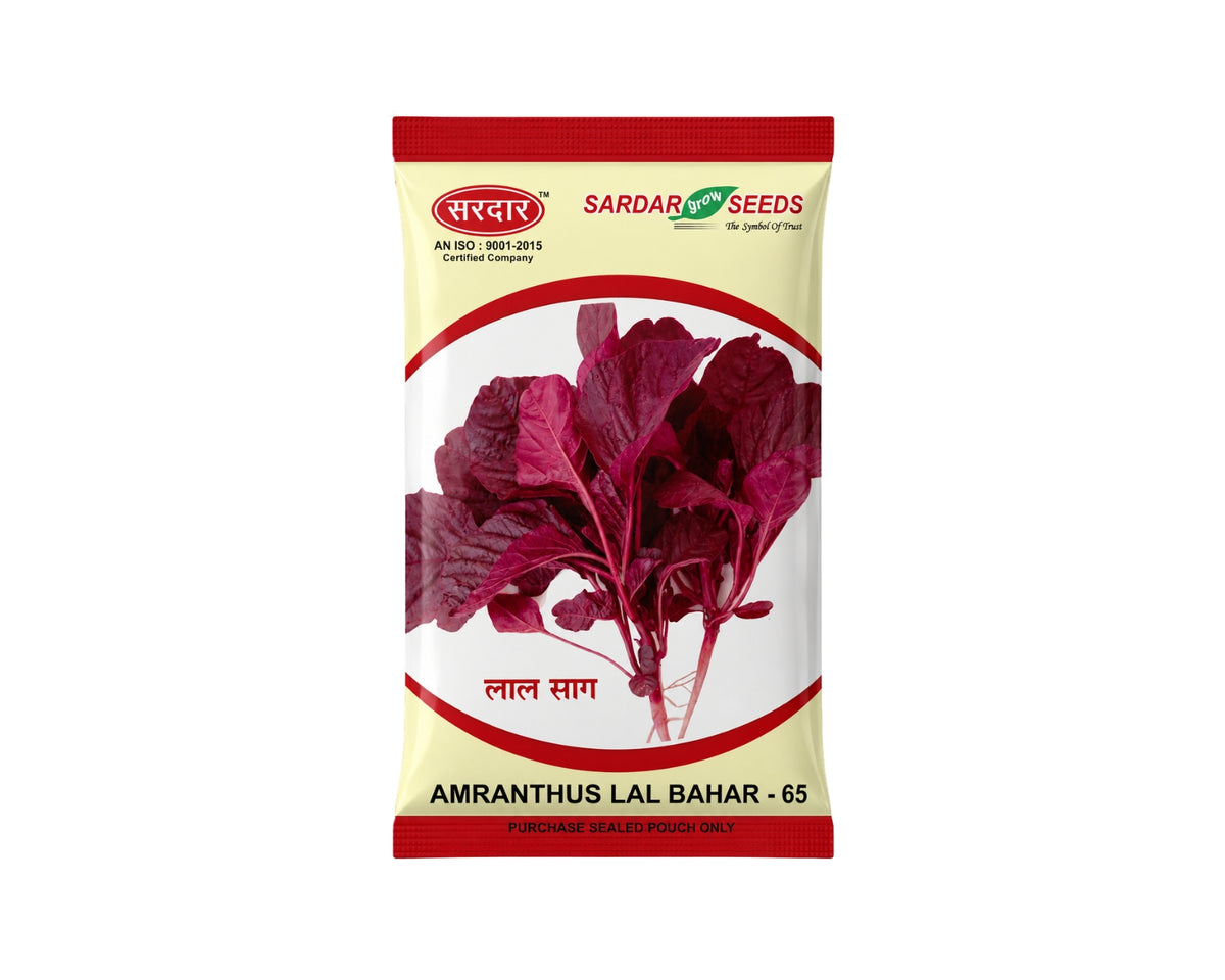 Sardar Grow Seeds Amaranthus Lal Bahar-65 Seeds