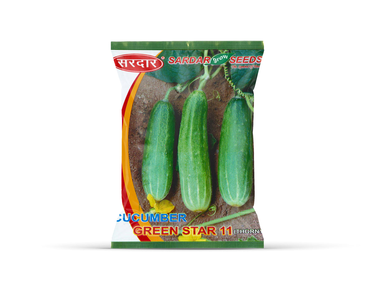 Sardar Grow Seeds Cucumber Green Star-11 (Thorny) – High Yield Hybrid Kheera Seeds