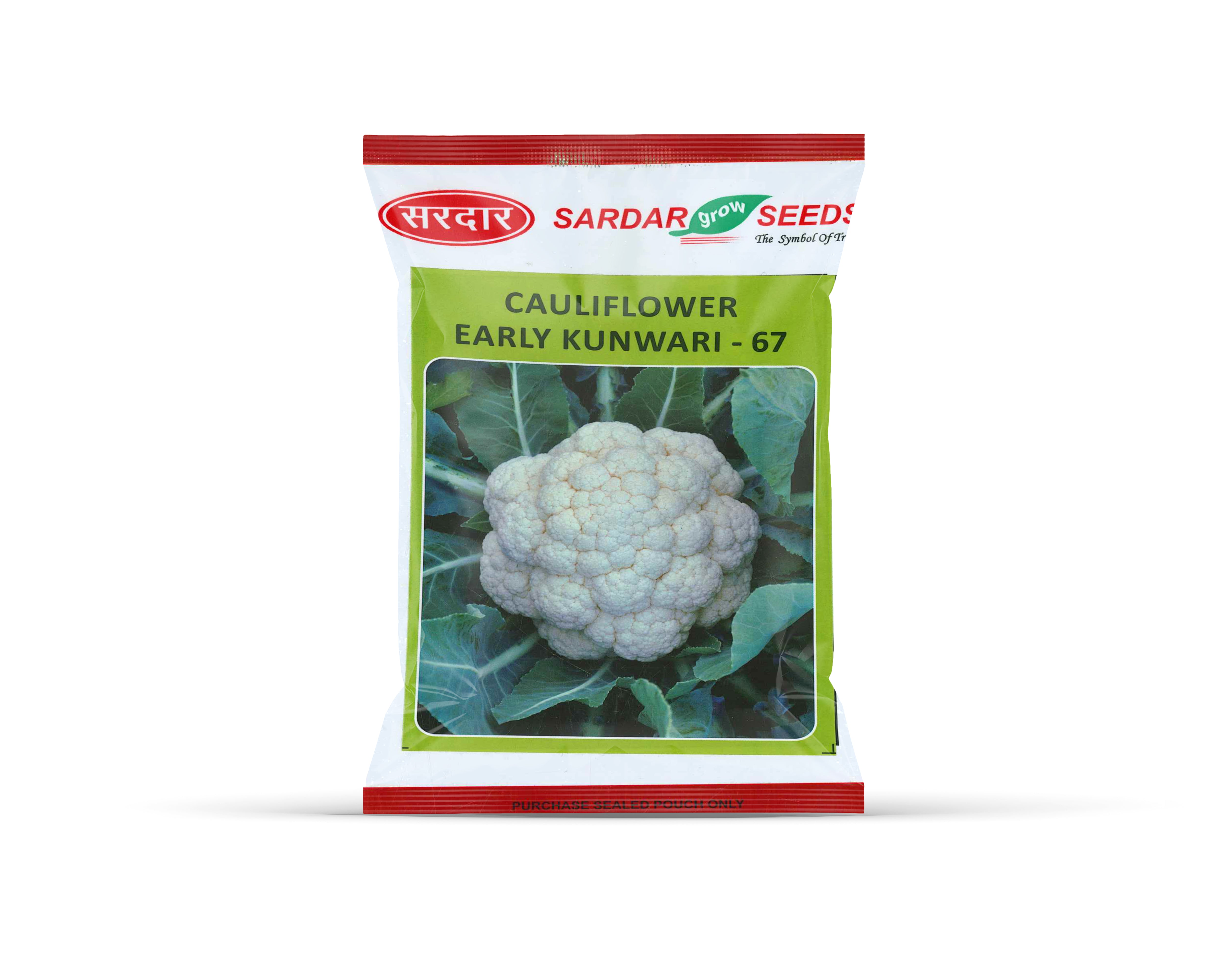 Sardar Grow Seeds Cauliflower Early Kunwari-67 – Early Maturity High Yield Gobhi Seeds