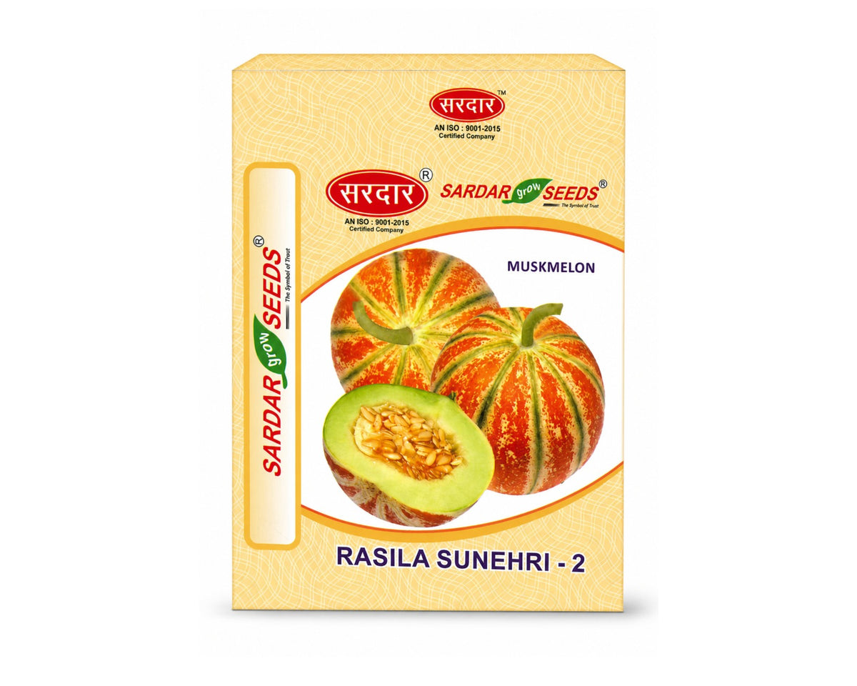 Sardar Grow Seeds Muskmelon Rasila Sunehri-2