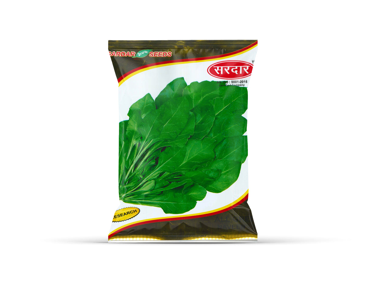 Sardar Grow Seeds All Green Naveen-31 Spinach (Palak) Seeds – High Yield Leafy Variety