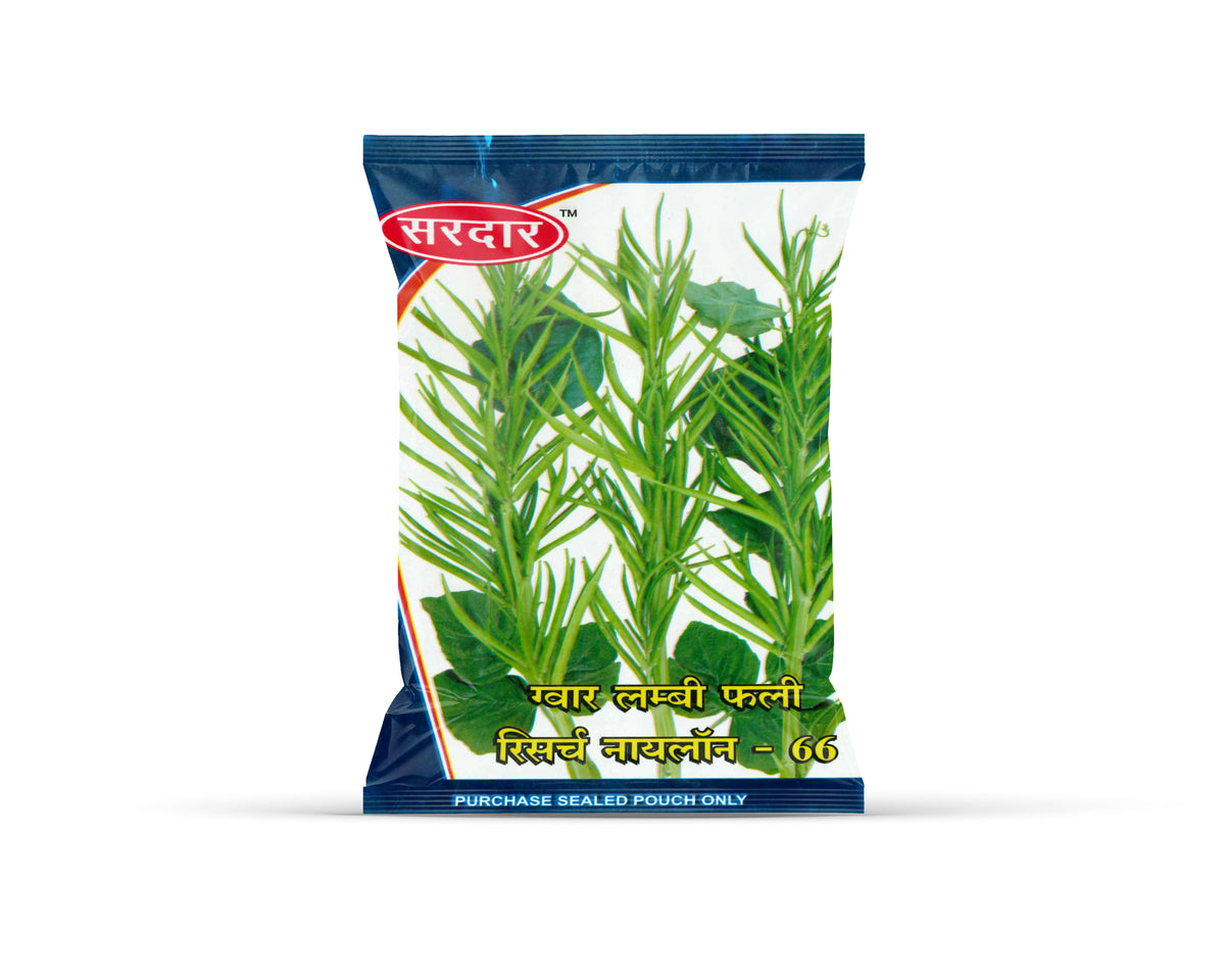 Sardar Grow Seeds Guar Long Pod Research Nylon-66 – High Yield Cluster Bean Variety