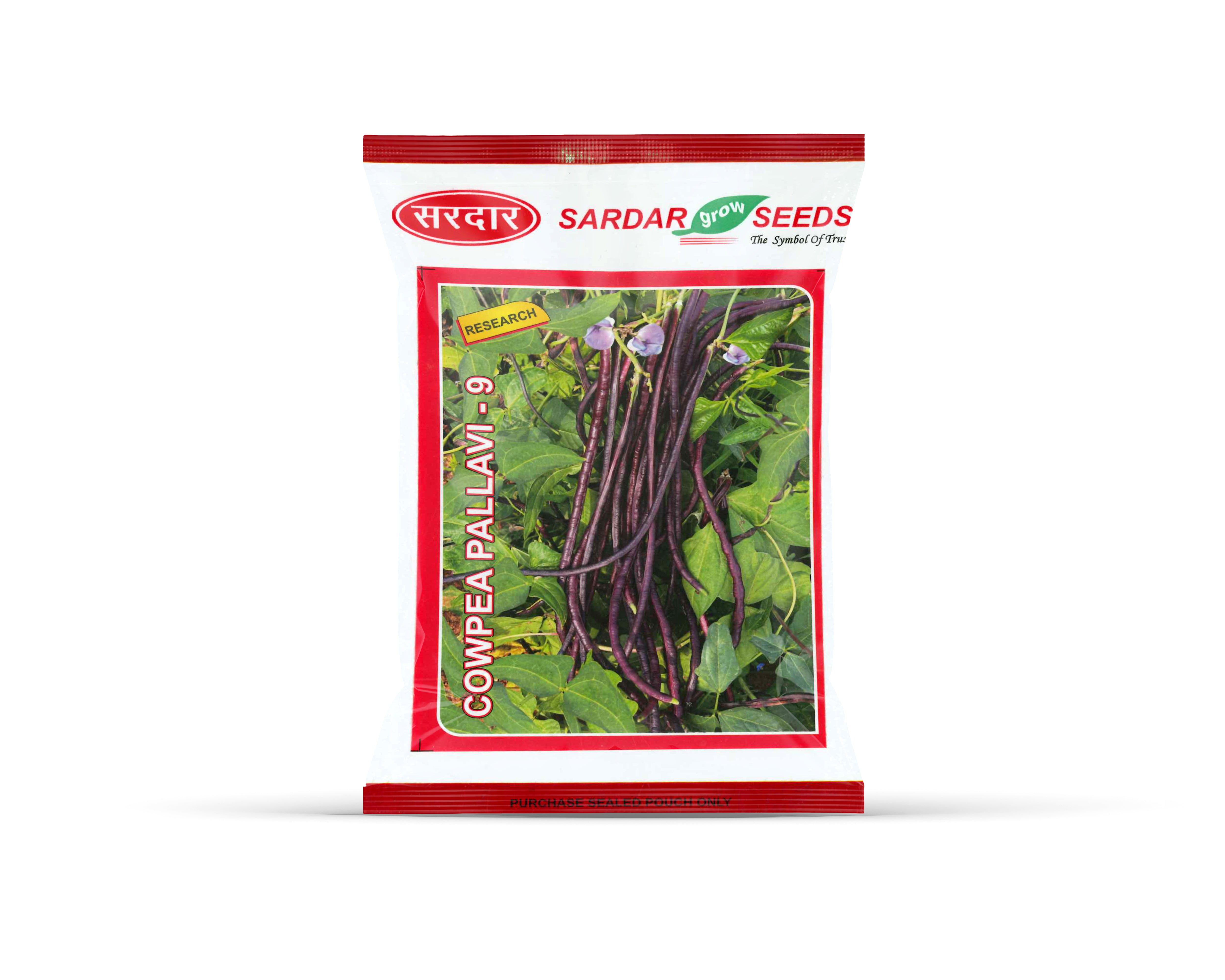 Sardar Grow Seeds Cowpea Pallavi-9 Seeds – Long Purple Pods, High Yield Variety