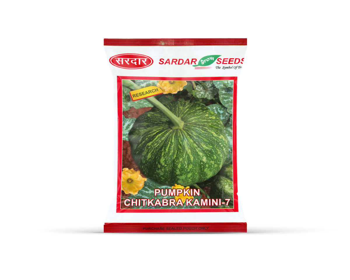Sardar Grow Seeds Pumpkin Chitkabra Kamini-7 – High Yield Green Striped Pumpkin Seeds