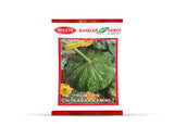 Sardar Grow Seeds Pumpkin Chitkabra Kamini-7 – High Yield Green Striped Pumpkin Seeds