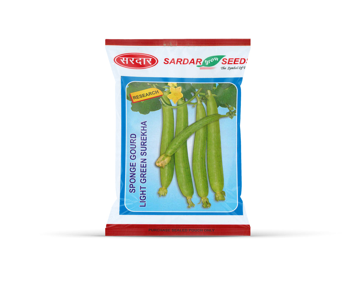 Sardar Grow Seeds Sponge Gourd Light Green Surekha - Hybrid Ghiya & Gilki Seeds