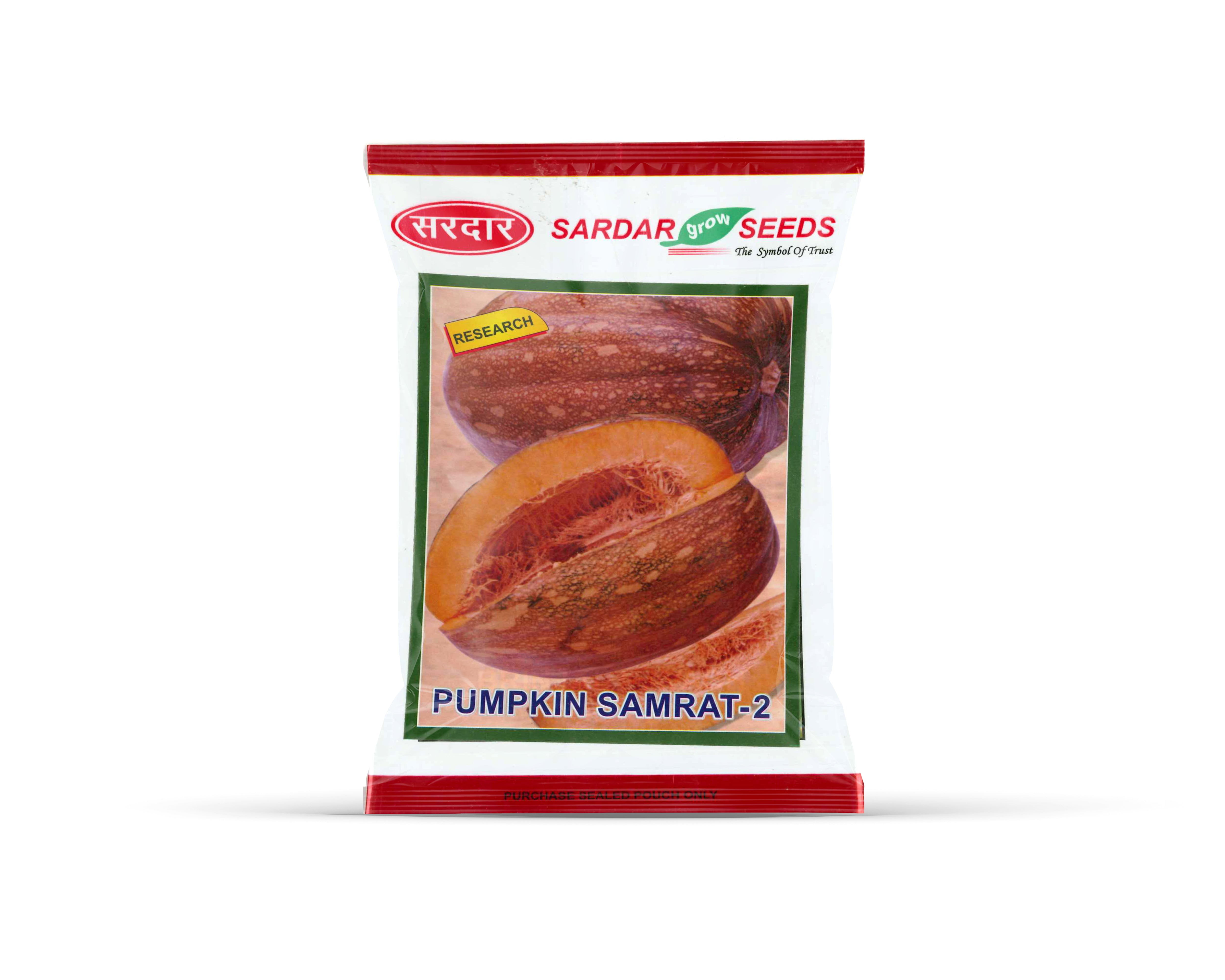 Sardar Grow Seeds Pumpkin Samrat-2 – High Yield Sweet Flesh Variety