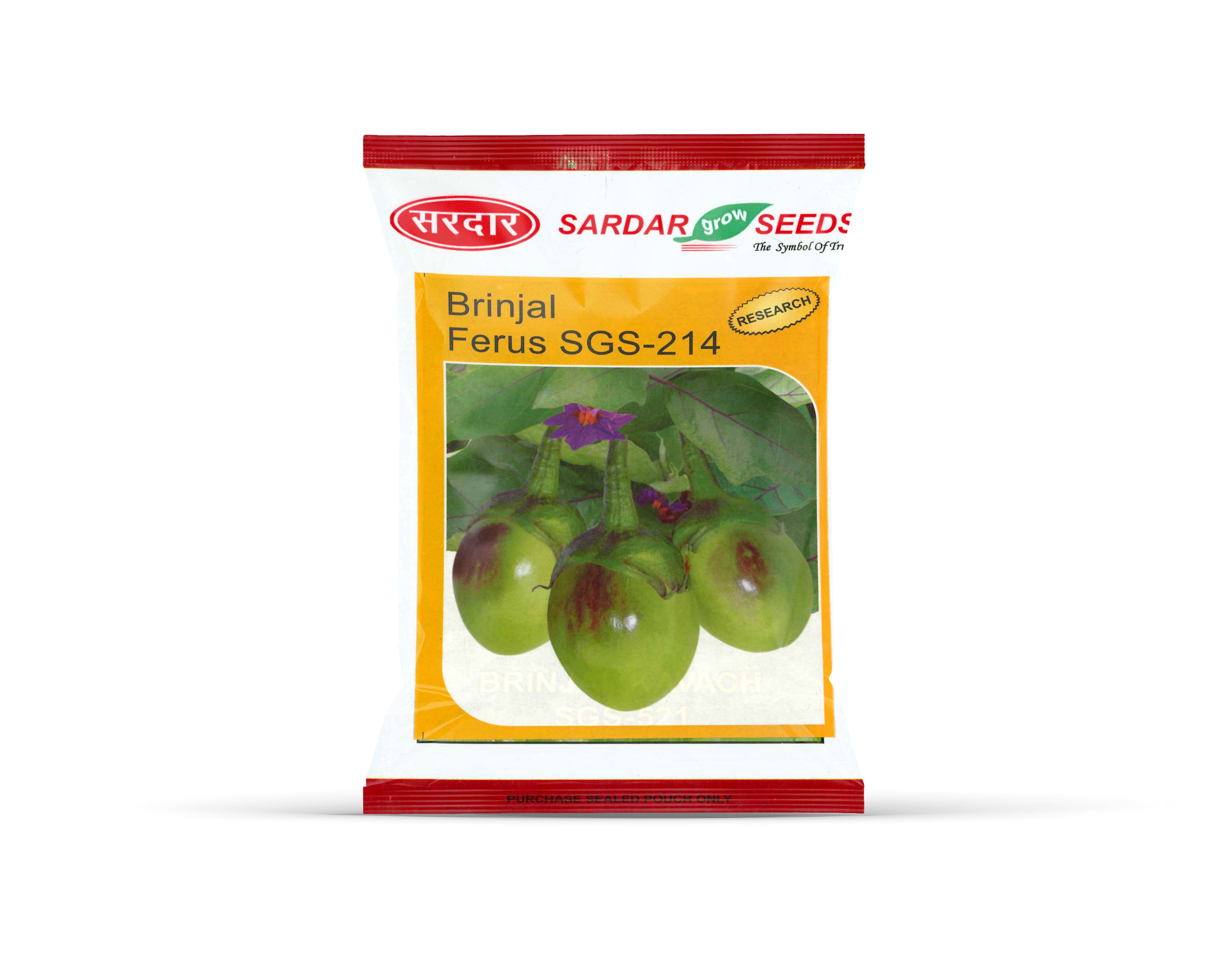 Sardar Grow Seeds Brinjal Fergus SGS-214 Seeds – Round Green Brinjal, High Yield Variety