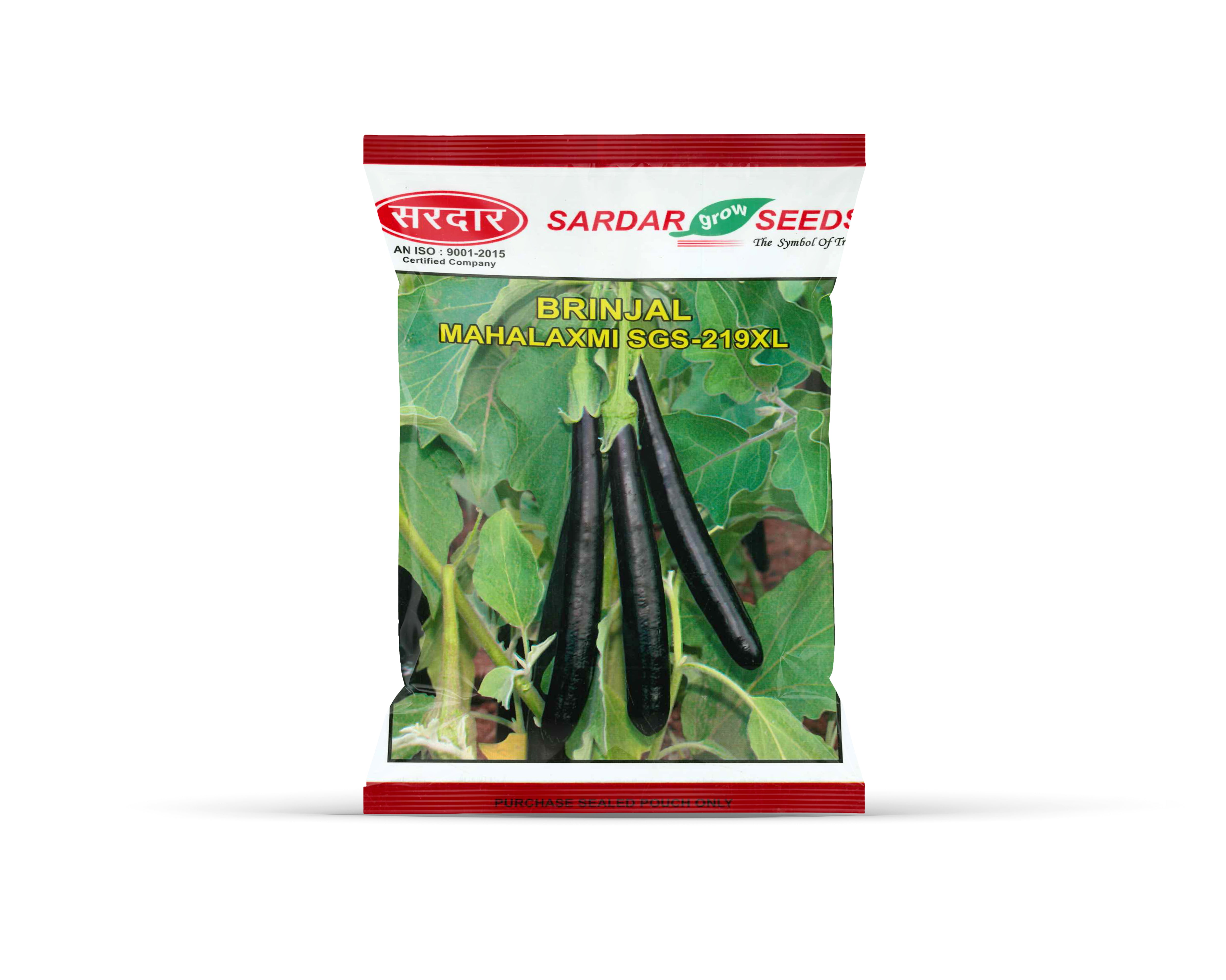 Sardar Grow Seeds Brinjal Mahalaxmi SGS-219XL – Long Shiny Black Fruits, High Yield Variety