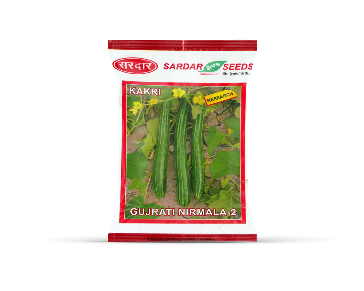 Sardar Grow Seeds Kakri Gujrati Nirmala-2 – Long Stripe Kakri Variety