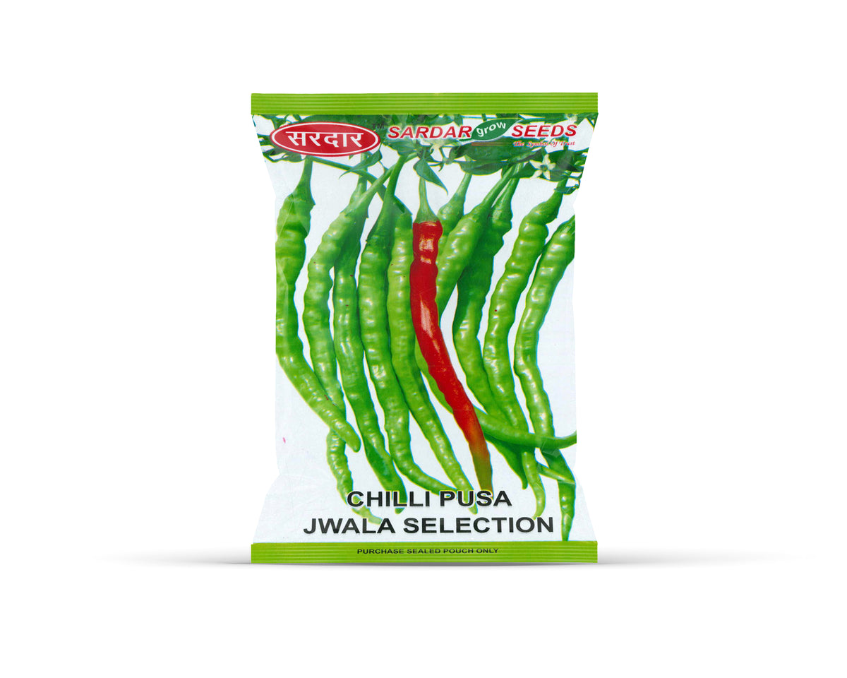 Sardar Grow Seeds Chilli Pusa Jwala Selection - High Yield Hybrid Green Chilli Seeds