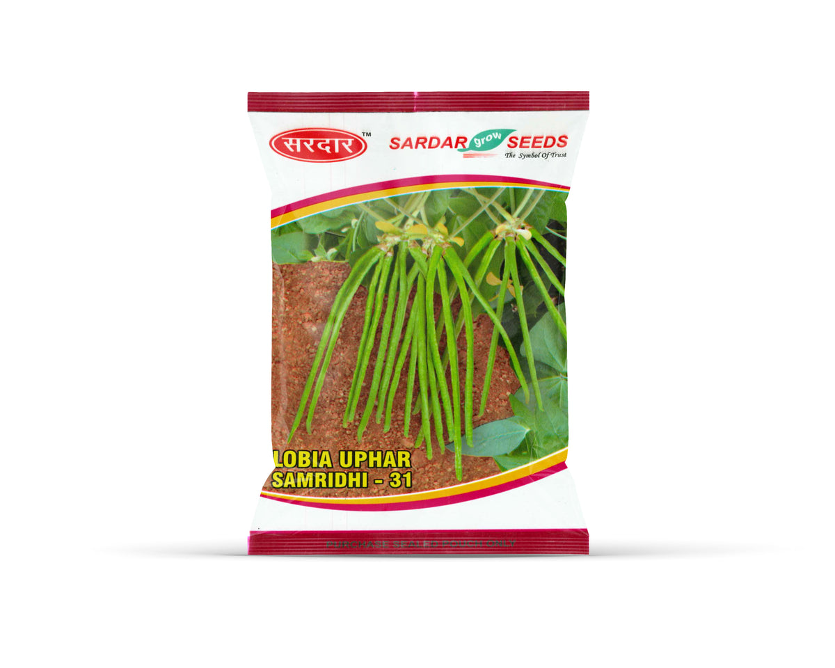 Sardar Grow Seeds Lobia Uphar Samridhi-31 – High Yield Long Green Cowpea Seeds
