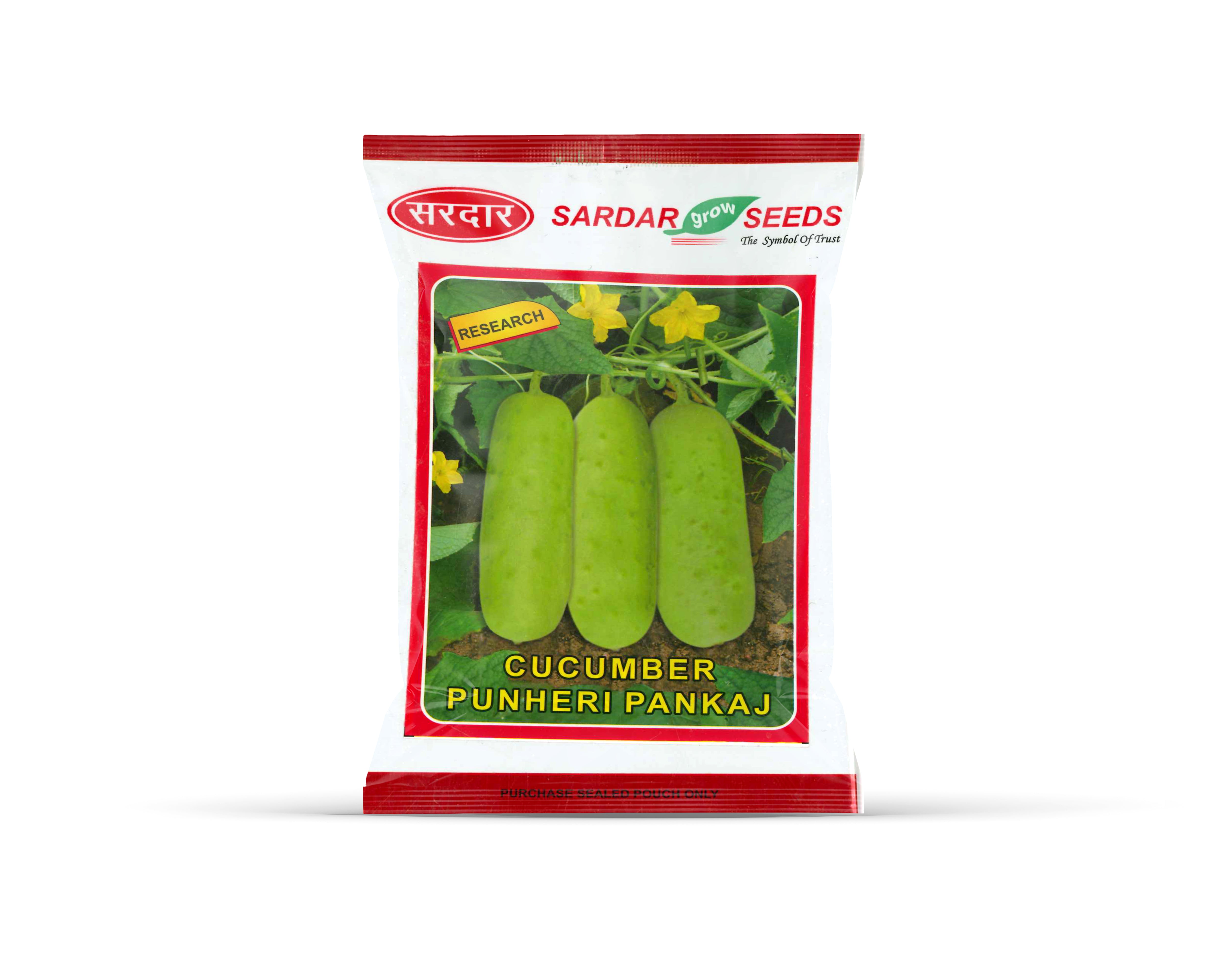 Sardar Grow Seeds Cucumber Punheri Pankaj – High Yield Light Green Cucumber Seeds
