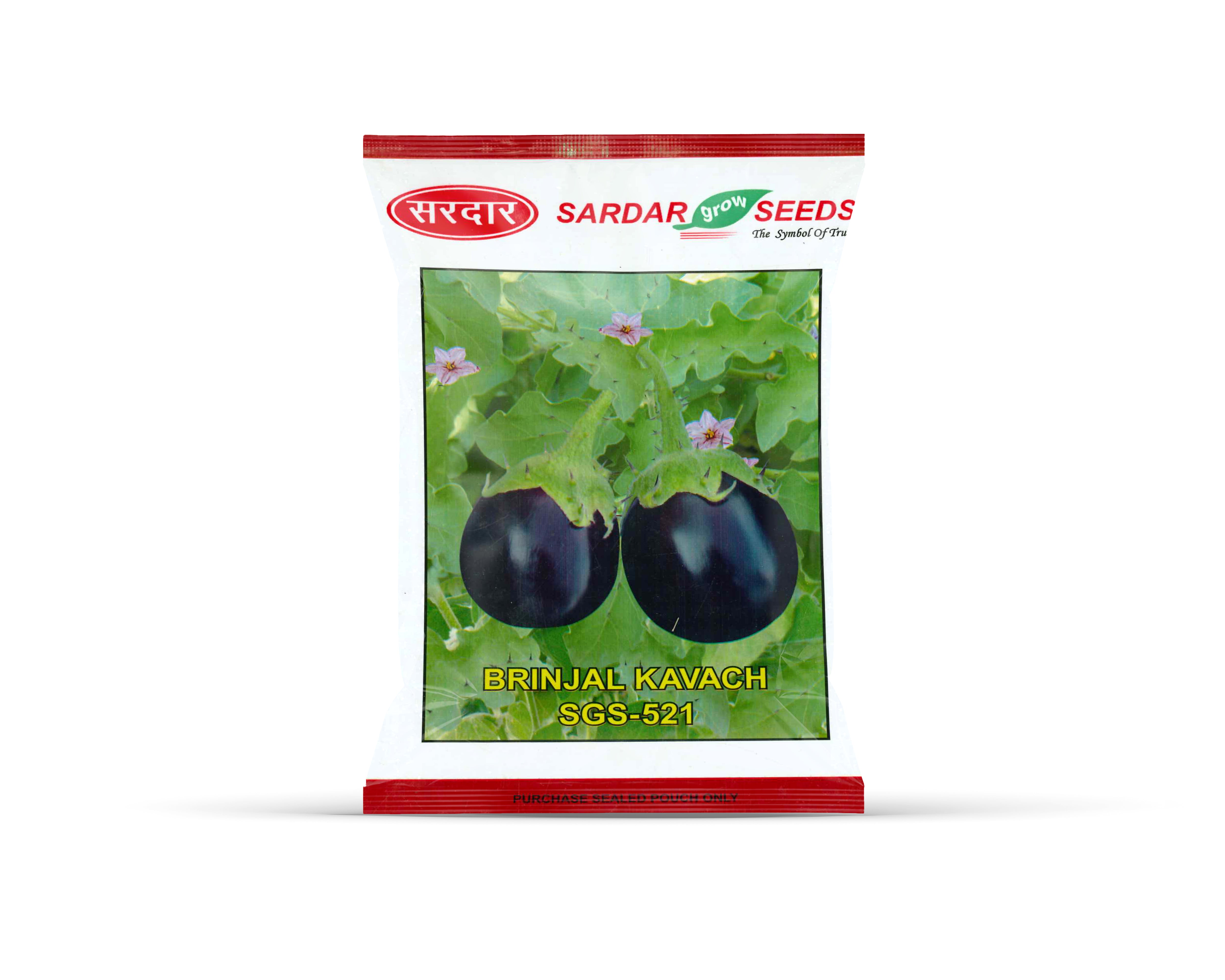 Sardar Grow Seeds Brinjal Kavach SGS-521 – Round Black Fruits, High Yield & Strong Plant Variety