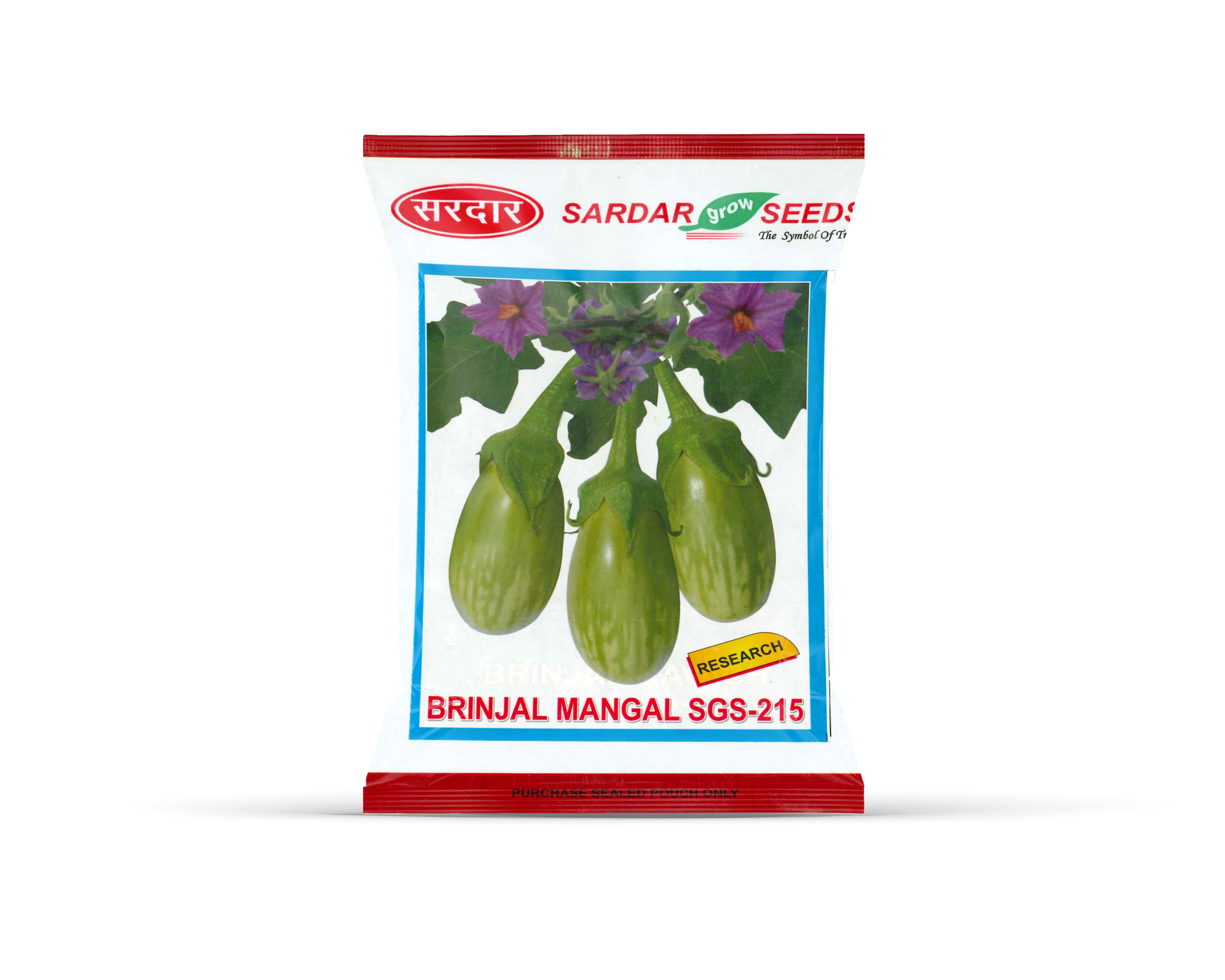 Sardar Grow Seeds Brinjal Mangal SGS-215 – High Yield Green Brinjal Seeds