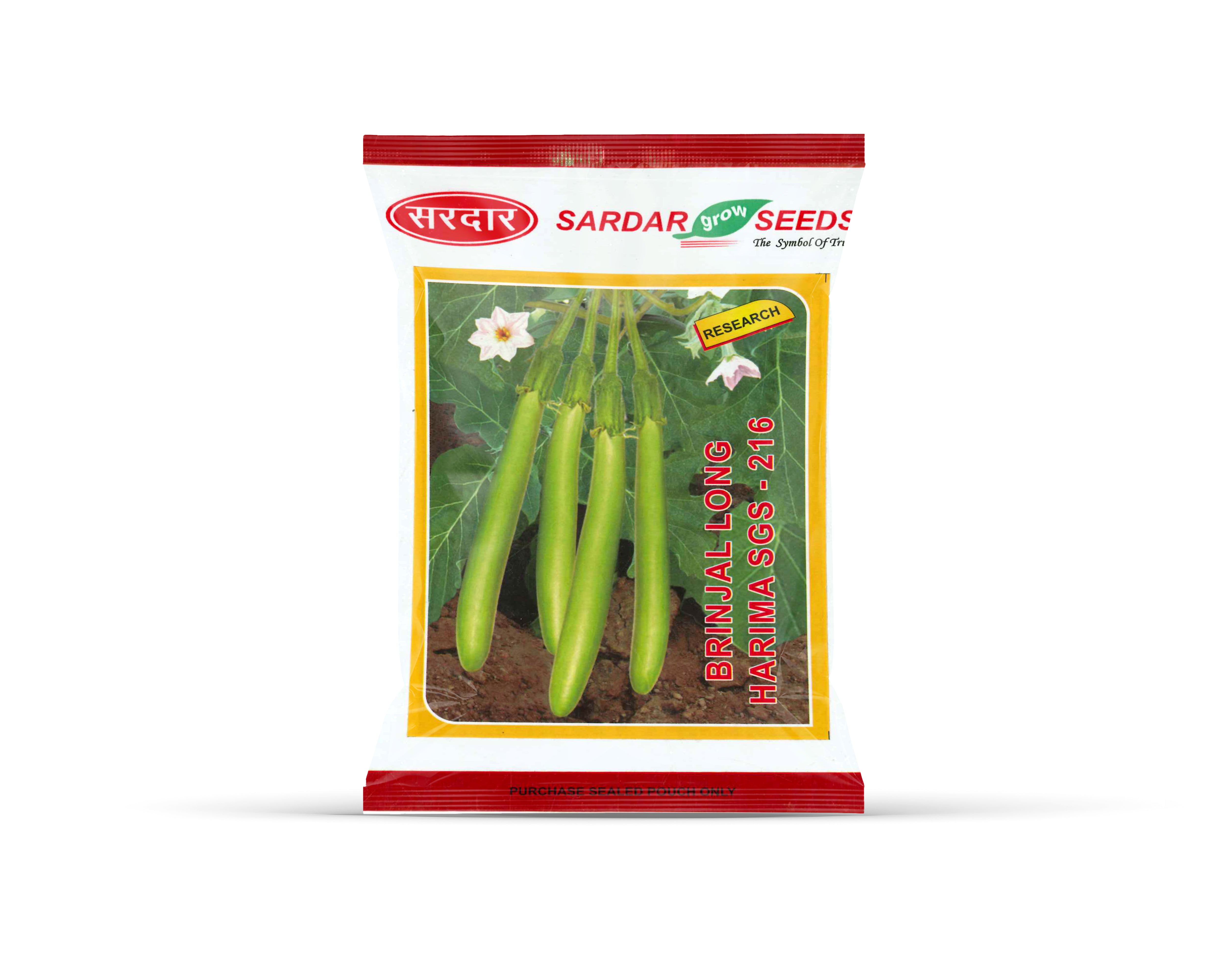 Sardar Grow Seeds Brinjal Long Harima SGS-216 – Long Green Hybrid Brinjal Seeds