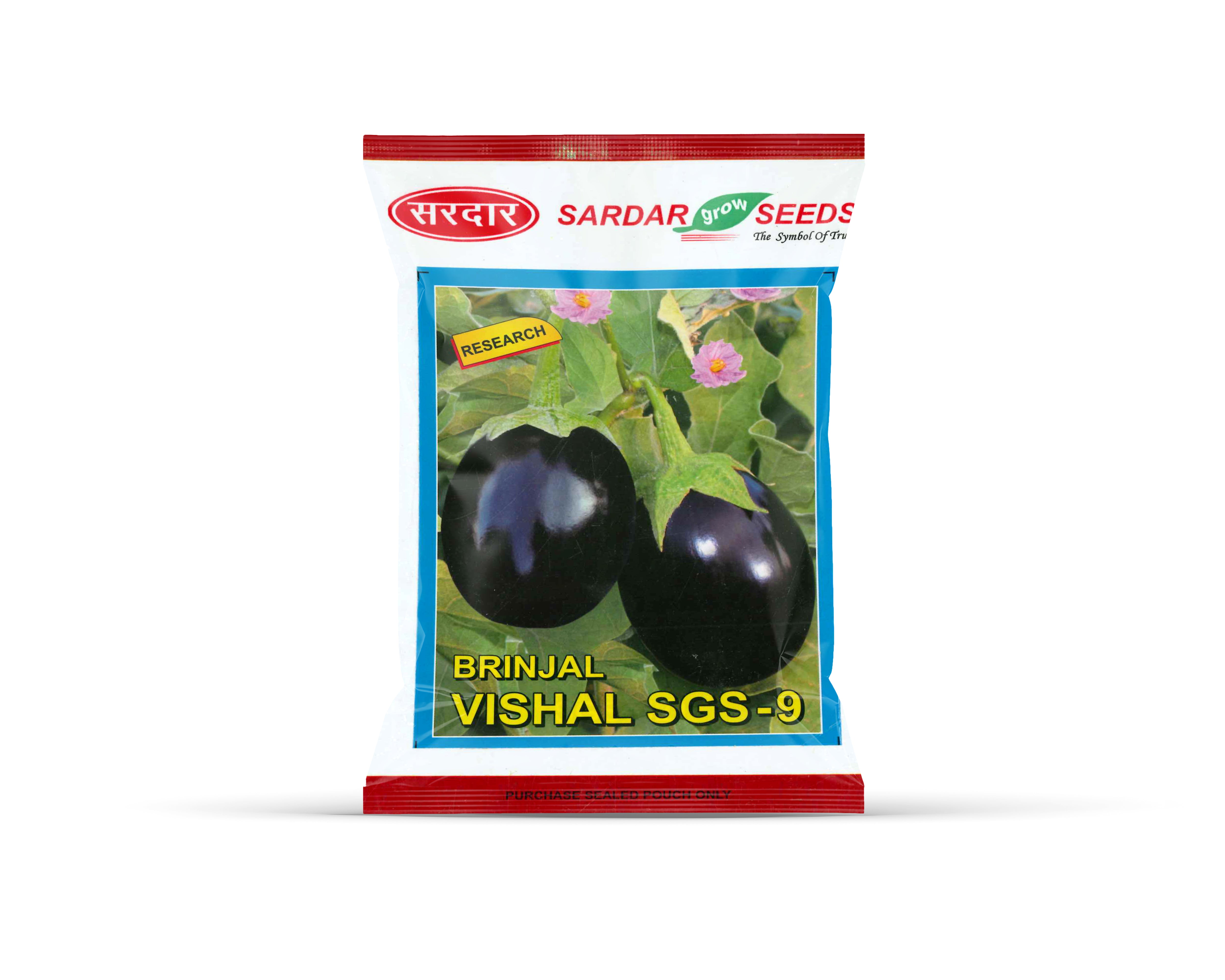 Sardar Grow Seeds Brinjal Vishal SGS-9 – High Yield Round Black Brinjal Seeds