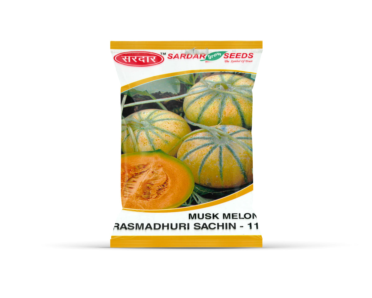 Sardar Grow Seeds Musk Melon Ras Madhuri Sachin-11 – Sweet Aromatic Muskmelon Seeds