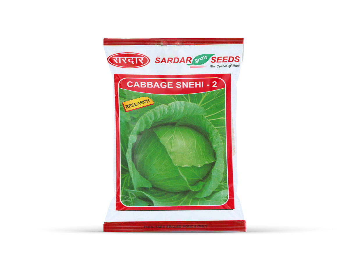Sardar Grow Seeds Cabbage Snehi-2 – High Yield Green Cabbage Seeds