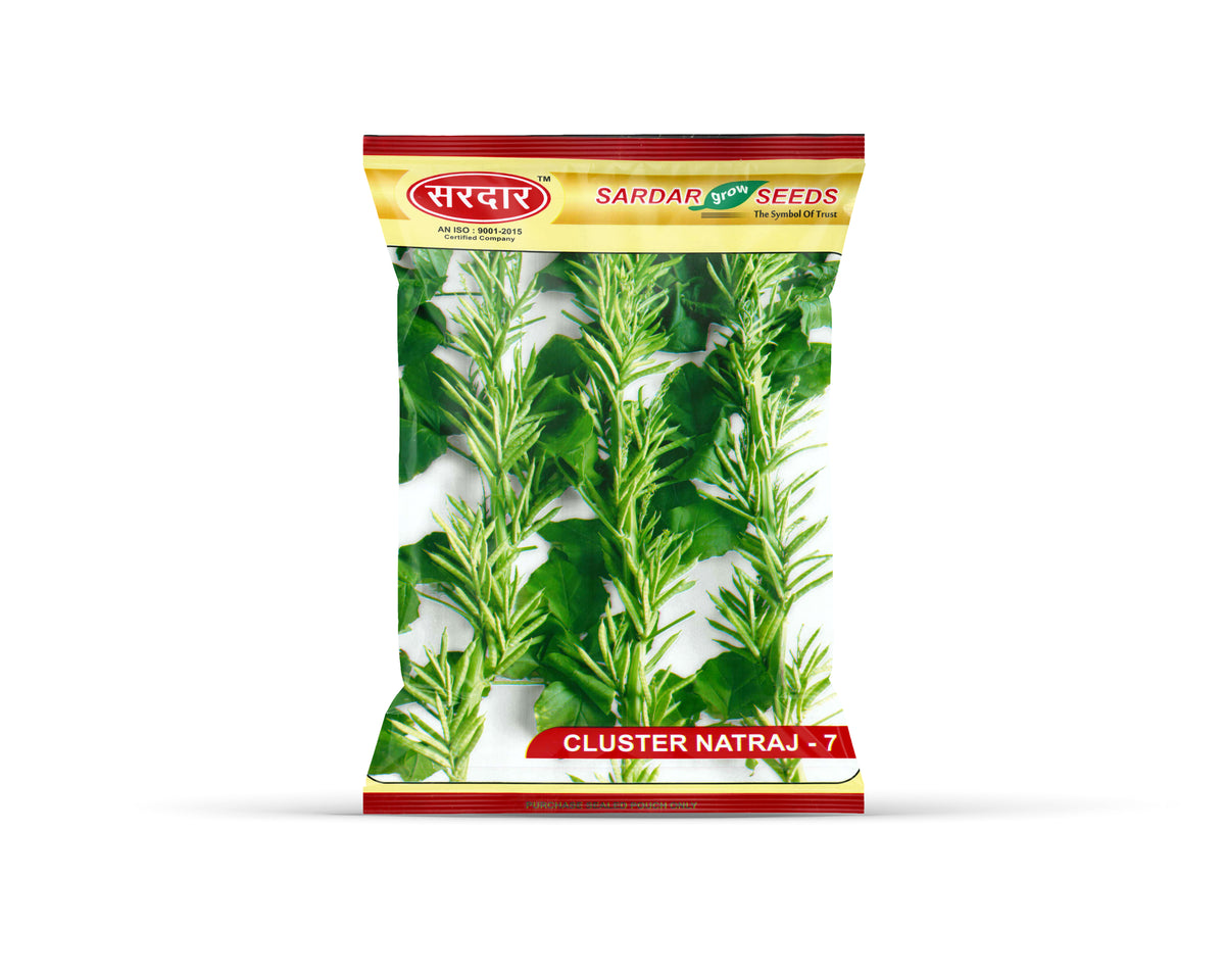 Sardar Grow Seeds Cluster Natraj-7 – High Yield Guar (Cluster Beans) Vegetable Seeds
