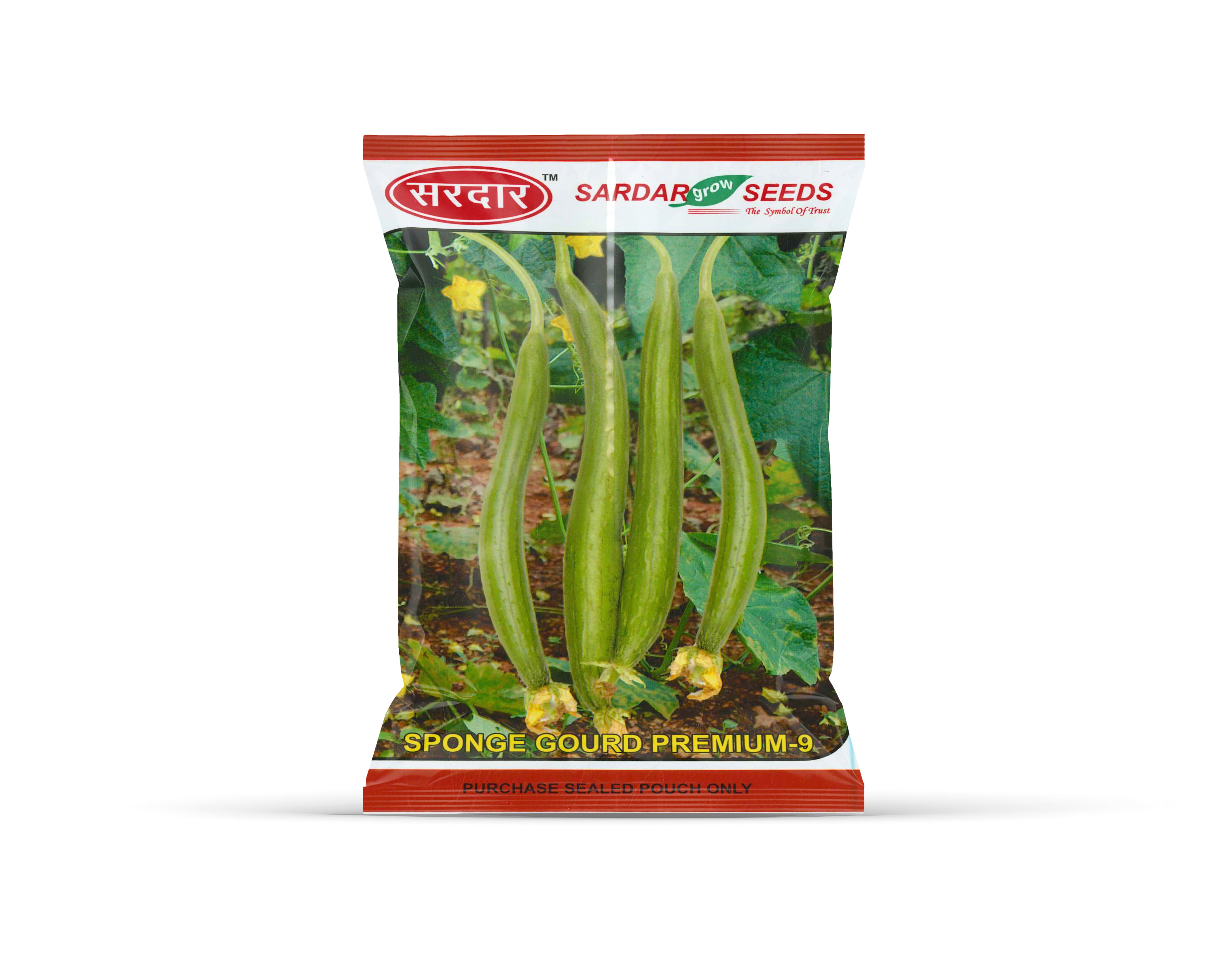 Sardar Grow Seeds Sponge Gourd Premium-9 – High Yield Hybrid Ghiya / Gilki Seeds