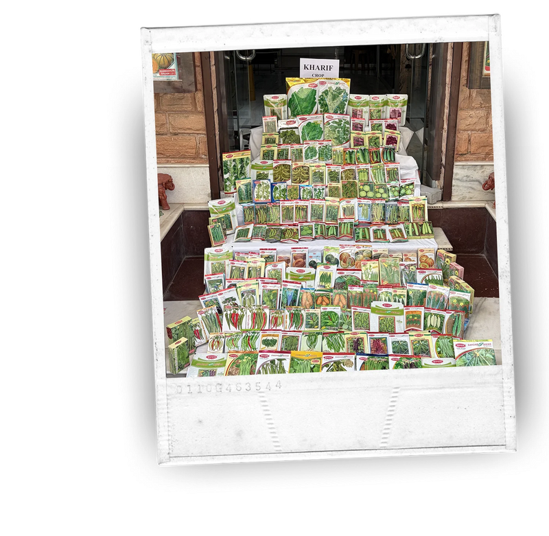 Siar Seeds About Us – sardarseeds