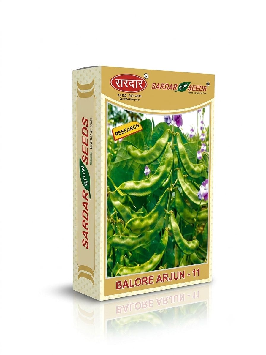 Sardar Grow Seeds Balore Arjun-11 Seeds
